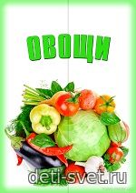 Купить готовый шаблон распечатку лэпбука Овощи deti-svet.ru