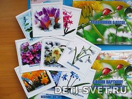 Картинки для лэпбука Весна deti-svet.ru