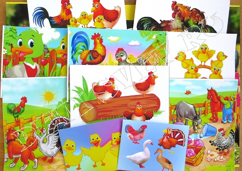 Карточки для лэпбука Домашние птицы deti-svet.ru