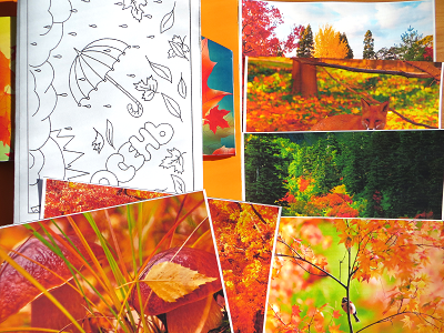 Картинки для лэпбука Осень deti-svet.ru
