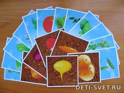 Картинки для лэпбука Овощи deti-svet.ru